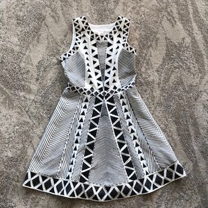 Parker Skater Dress